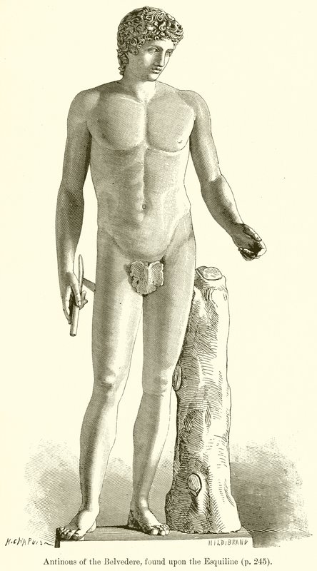 Antinoo del Belvedere, trovato sull