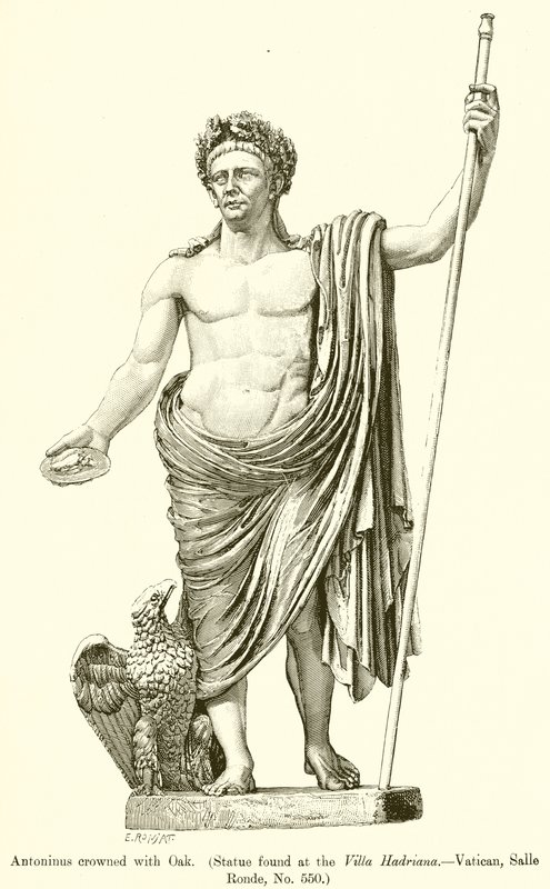 Antonino incoronato con quercia (Statua trovata alla Villa Adriana.--Vaticano, Sala Rotonda, No. 550) da English School