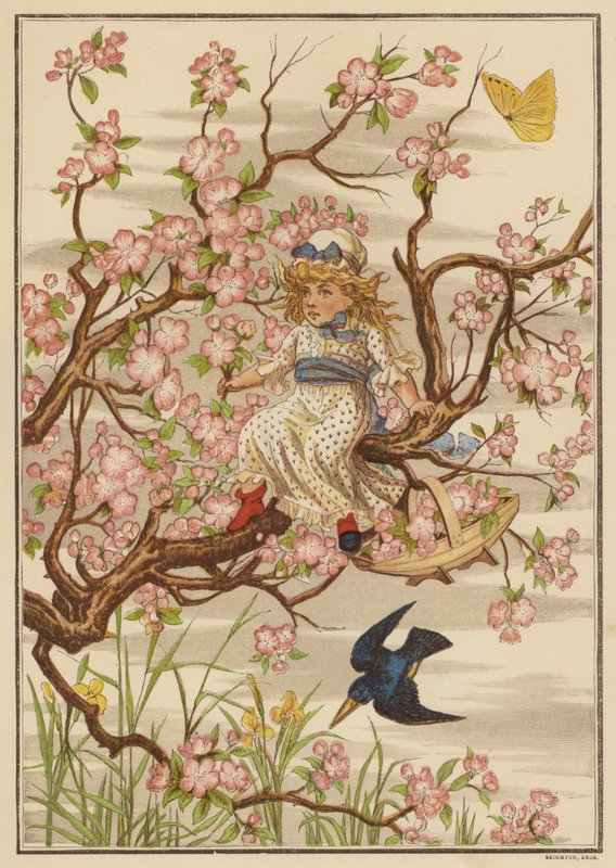 Fiori di melo da English School