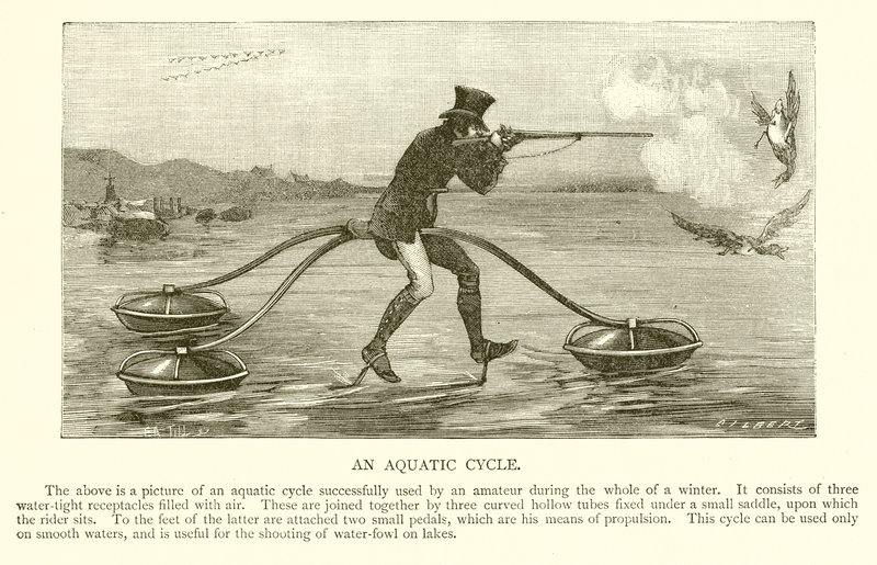 Ciclo acquatico da English School