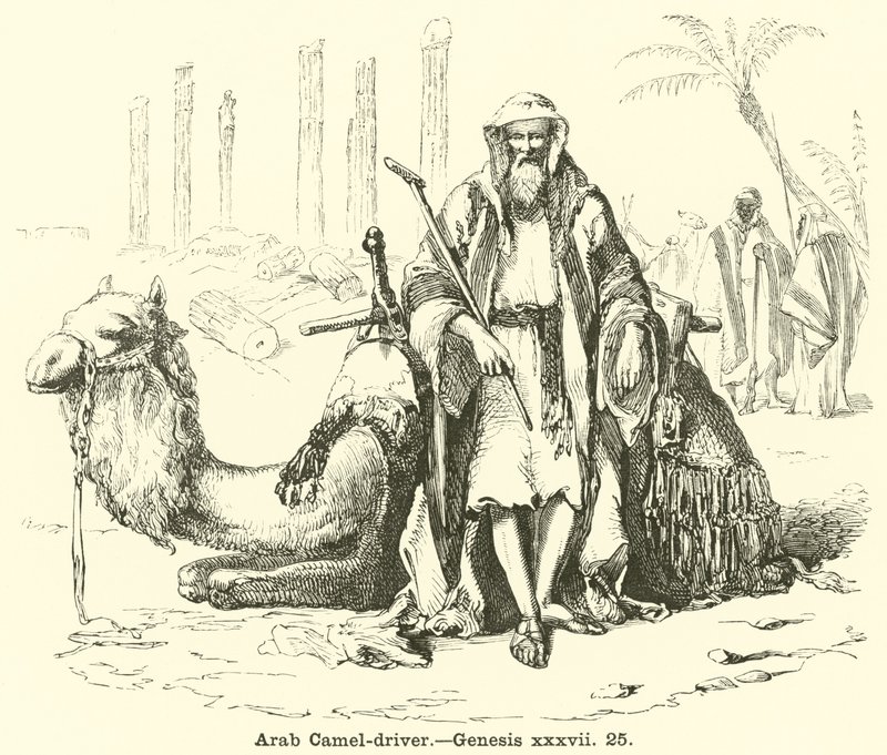 Conduttore di cammelli arabo, Genesi, xxxvii, 25 da English School