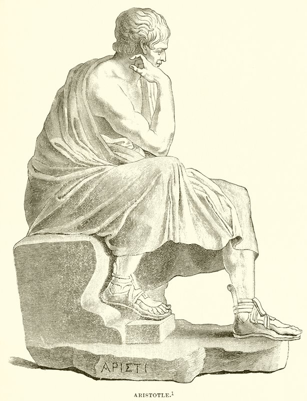 Aristotele da English School