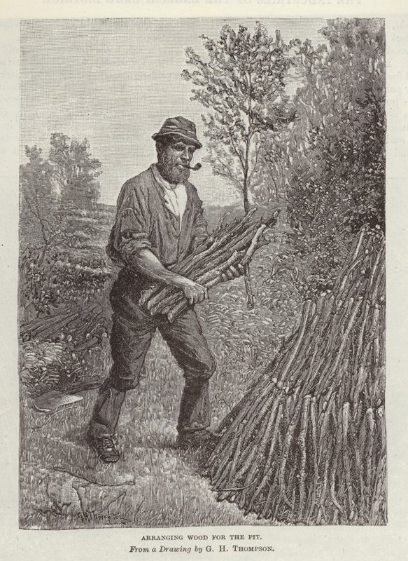 Disposizione del legno per la fossa da English School