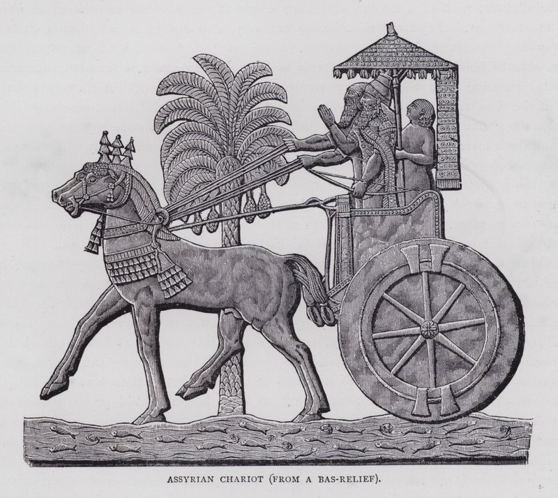 Carro assiro (incisione) da English School