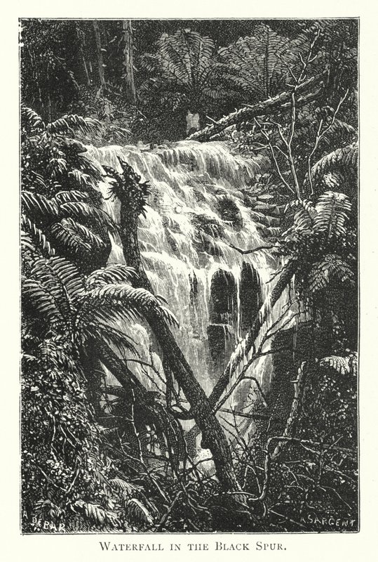 Australia: Cascata nel Black Spur da English School