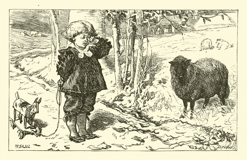 Baa, Baa, Pecora Nera da English School