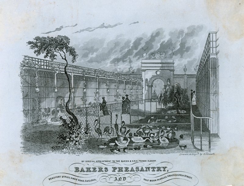 Bakers Pheasantry, Chelsea da English School