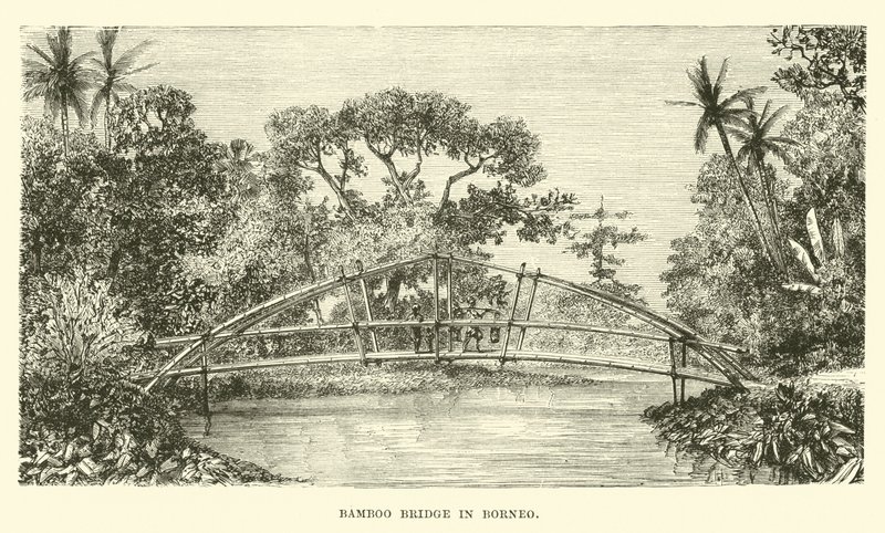 Ponte di bambù nel Borneo da English School