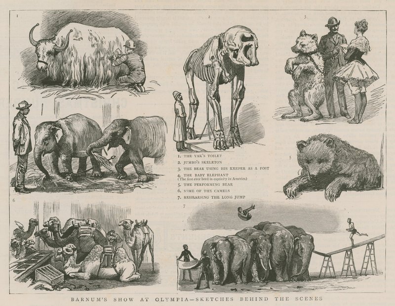 Spettacolo di Barnum a Olympia - schizzi dietro le quinte da English School