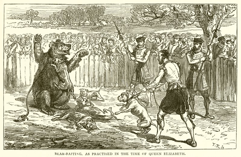 Combattimento con gli orsi, come praticato al tempo della regina Elisabetta da English School