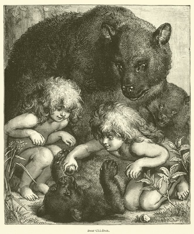 Bambini orsi (incisione) da English School
