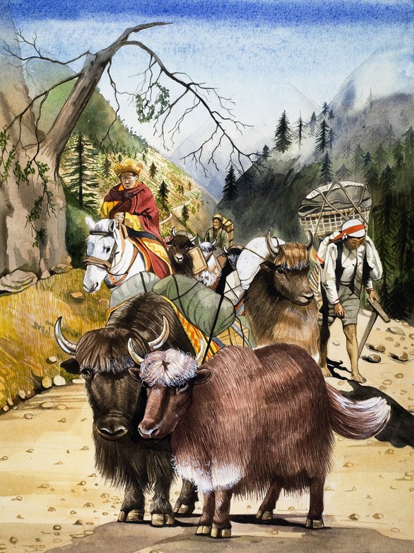 Bestie da soma, illustrazione da "Il regno della natura". da English School