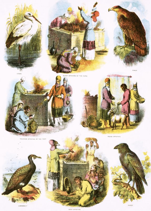 Illustrazioni bibliche da English School