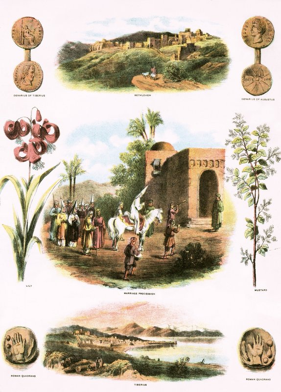 Illustrazioni bibliche da English School