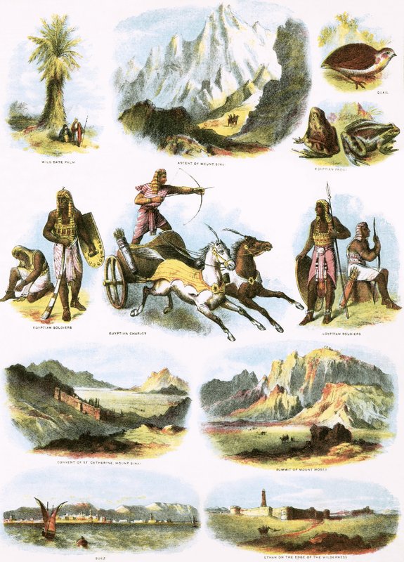 Illustrazioni bibliche da English School
