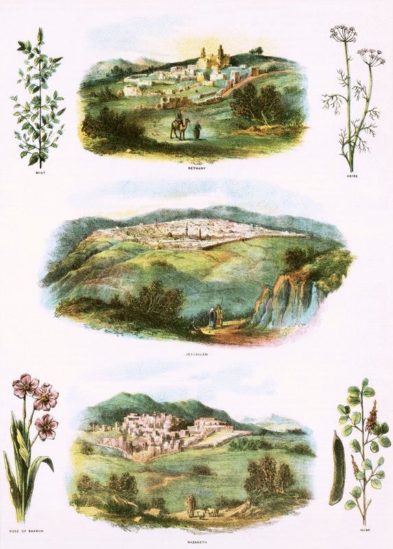Illustrazioni bibliche da English School