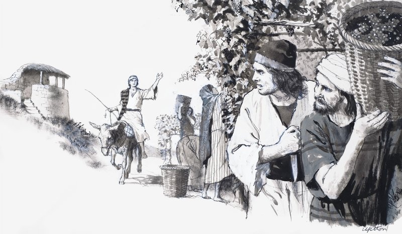 Vigneto biblico da English School