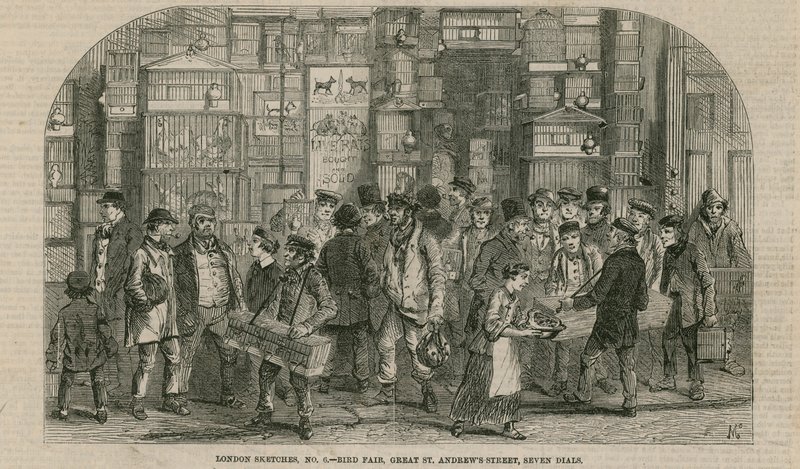 Fiera degli uccelli, Great St Andrews Street, Seven Dials, Londra da English School