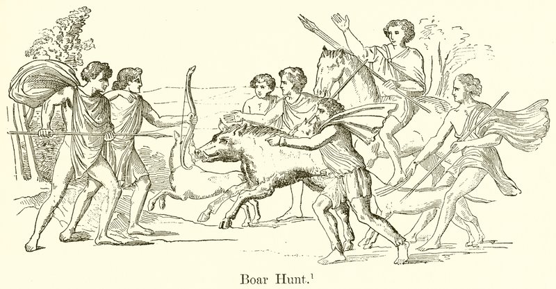 Caccia al cinghiale da English School