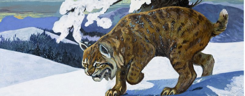 Lince rossa da English School