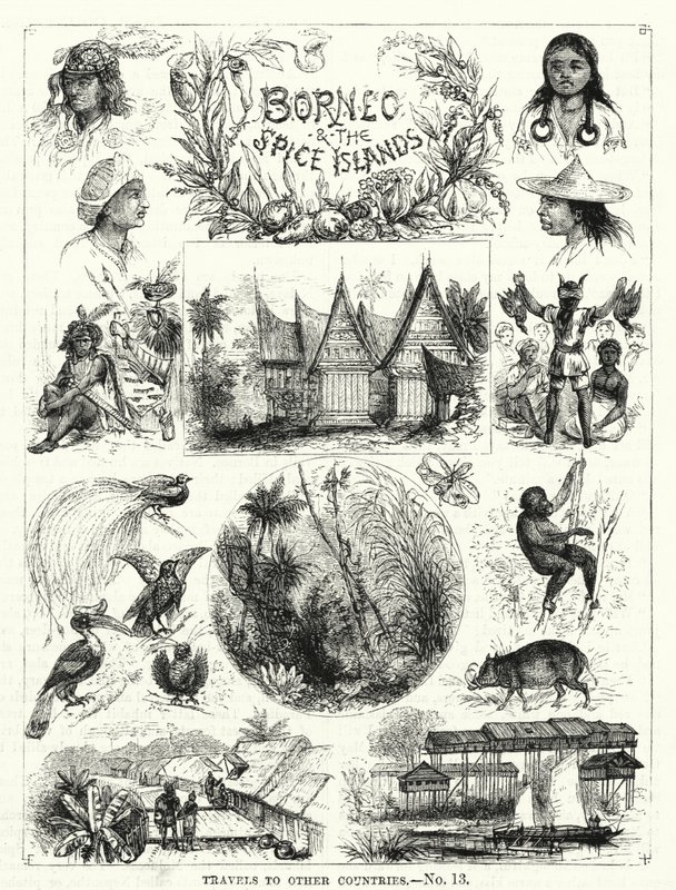 Borneo e le Isole delle Spezie (incisione) da English School