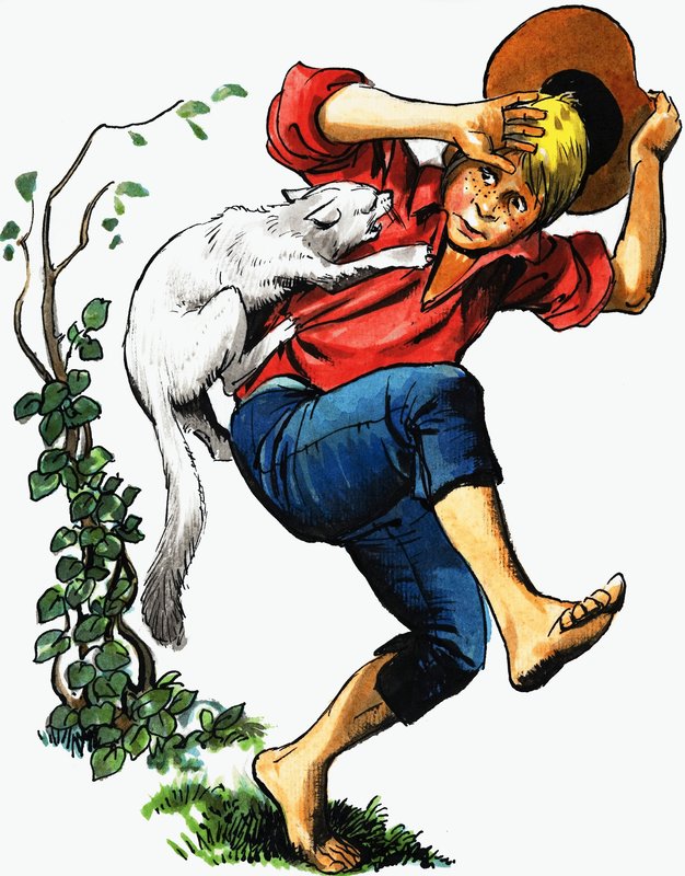 Ragazzo attaccato da un gatto da English School