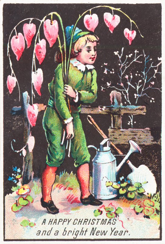 Ragazzo con fiori di cuore sanguinante da English School