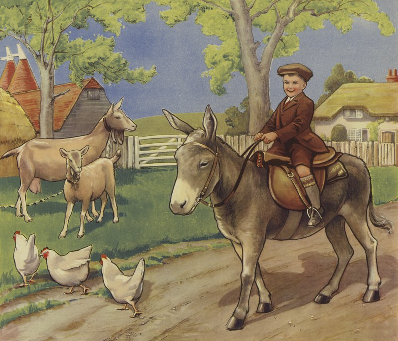 Ragazzo che cavalca un asino nella campagna inglese da English School