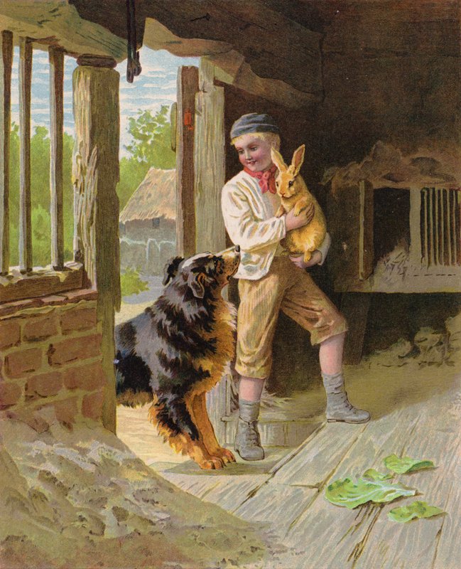 Ragazzo con un cane e un coniglio in una fattoria da English School