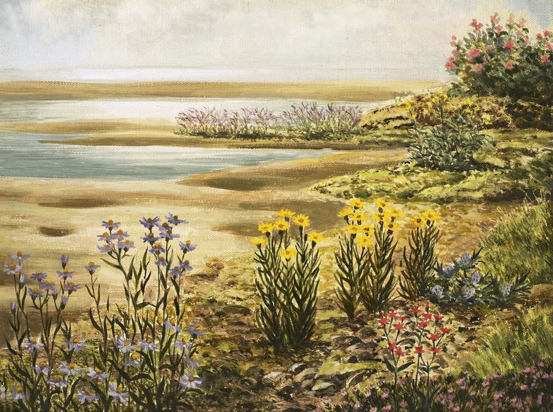 Fiori di palude inglese da English School