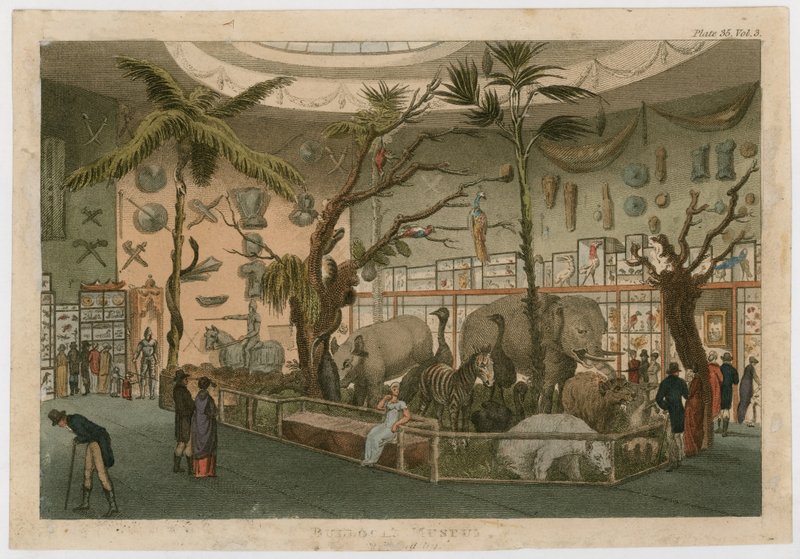 Museo di Bullock da English School