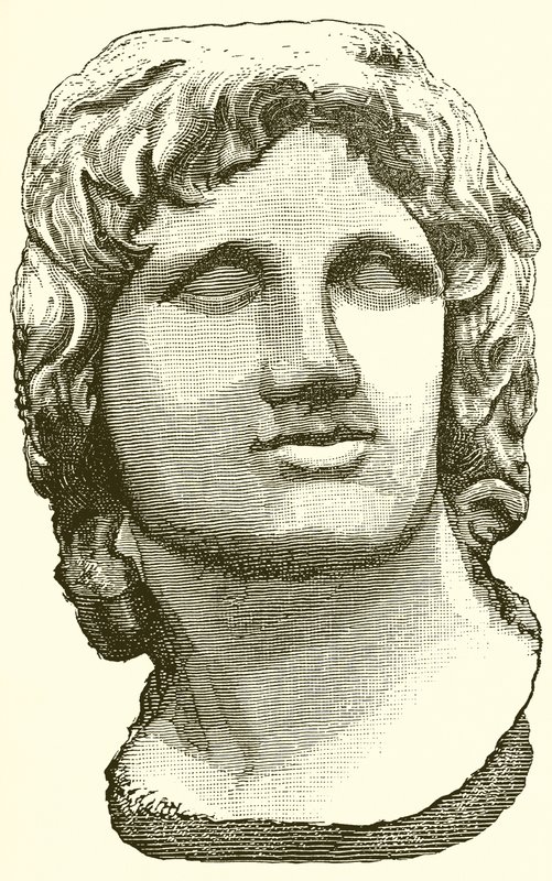 Busto di Alessandro Magno da English School