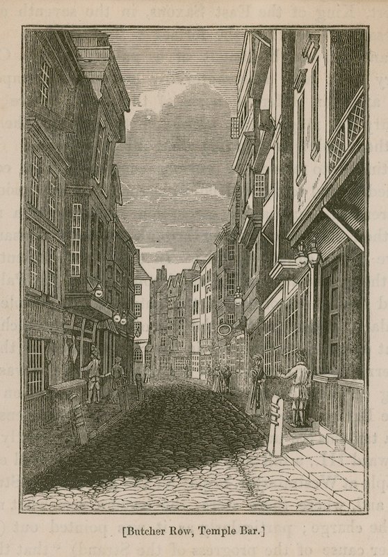 Butcher Row a Temple Bar nello Strand da English School