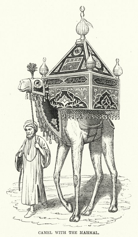 Cammello con il Mahmal (incisione) da English School