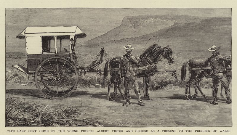 Carro del Capo inviato a casa dai giovani principi Alberto Vittorio e Giorgio come regalo alla Principessa del Galles (incisione) da English School