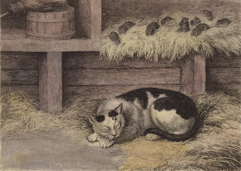 Gatto e topi in un fienile (incisione colorata) da English School
