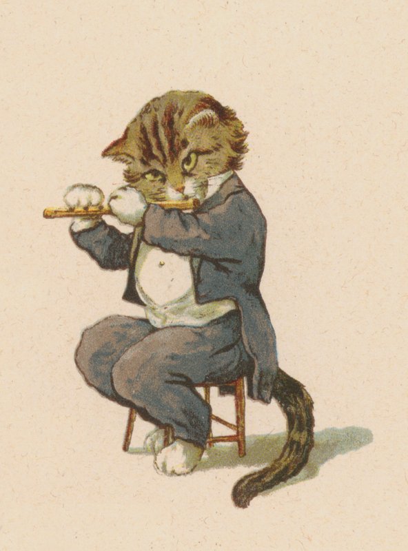 Gatto che suona il flauto (cromolitografia) da English School