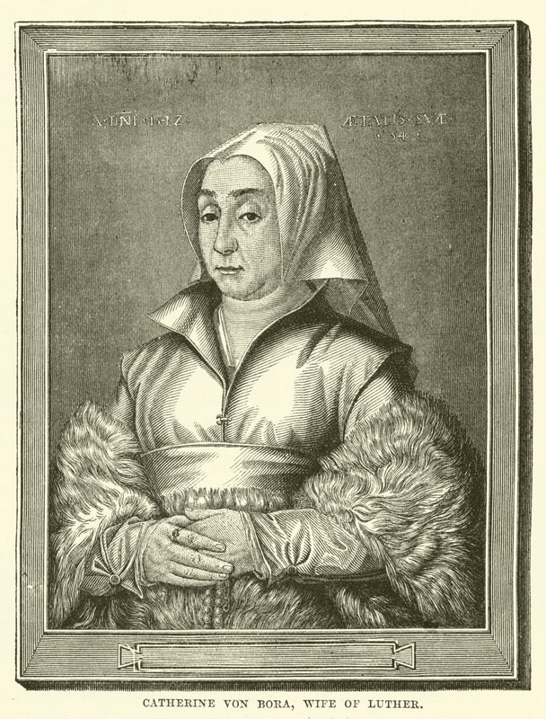 Caterina von Bora, Moglie di Lutero (incisione) da English School