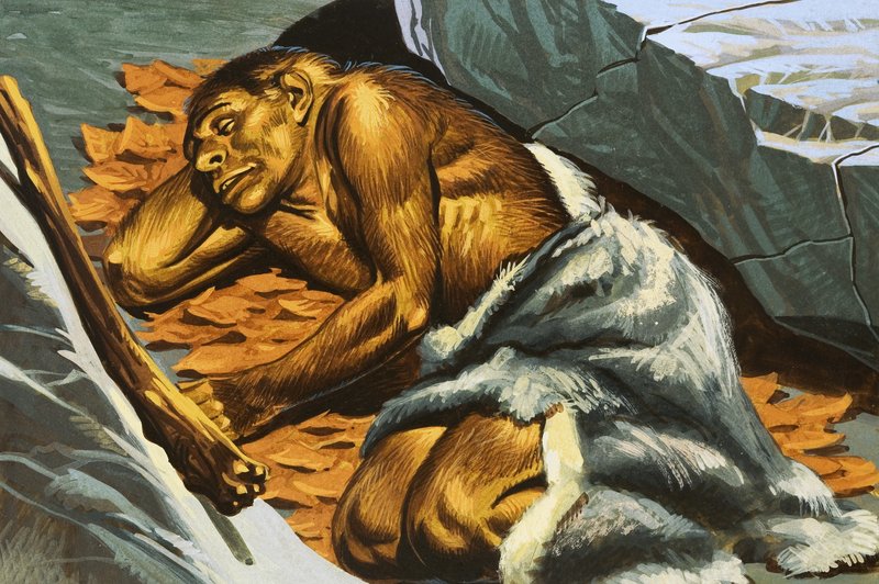 Uomo delle caverne che dorme da English School