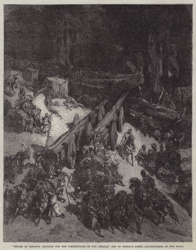 "Cedri del Libano destinati alla costruzione del Tempio," Una delle illustrazioni della Bibbia di Gustave Doré da English School