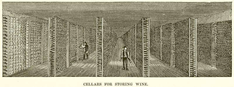 Cantine per Conservare il Vino da English School