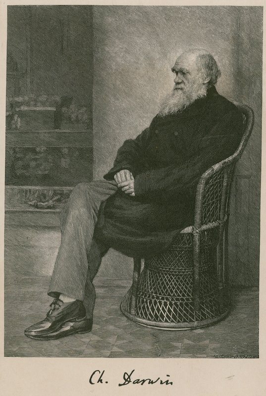Charles Darwin da English School
