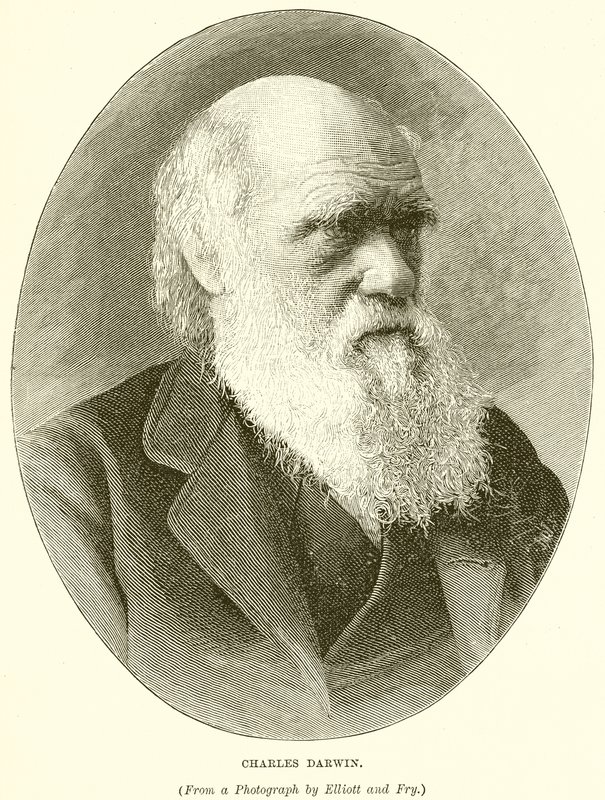 Charles Darwin da English School