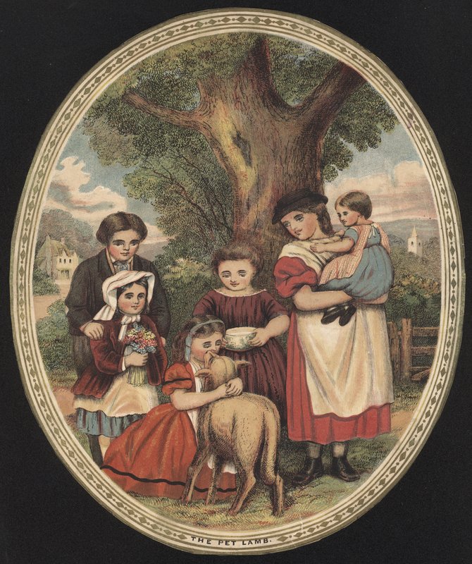Bambini che si prendono cura del loro agnello domestico (incisione a colori) da English School
