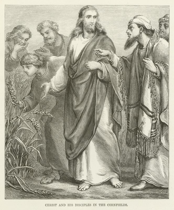 Cristo e i suoi discepoli nei campi di grano da English School