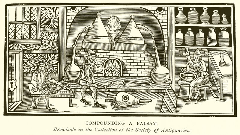 Preparazione di un Balsamo da English School