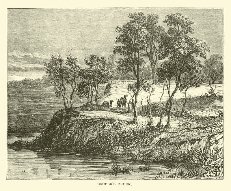 Coopers Creek da English School