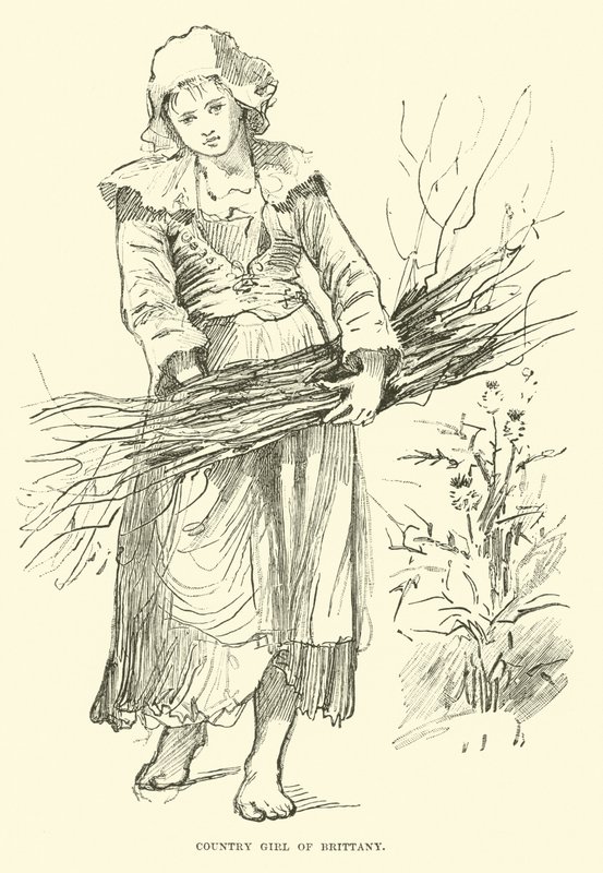 Ragazza di campagna della Bretagna da English School