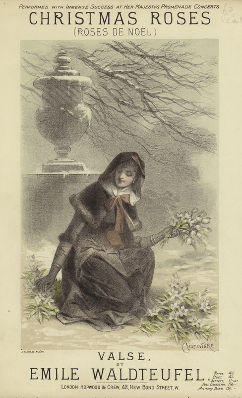 Copertina di Rose di Natale da English School