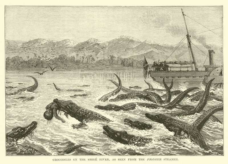 Coccodrilli sul fiume Shire, visti dal piroscafo Pioneer da English School